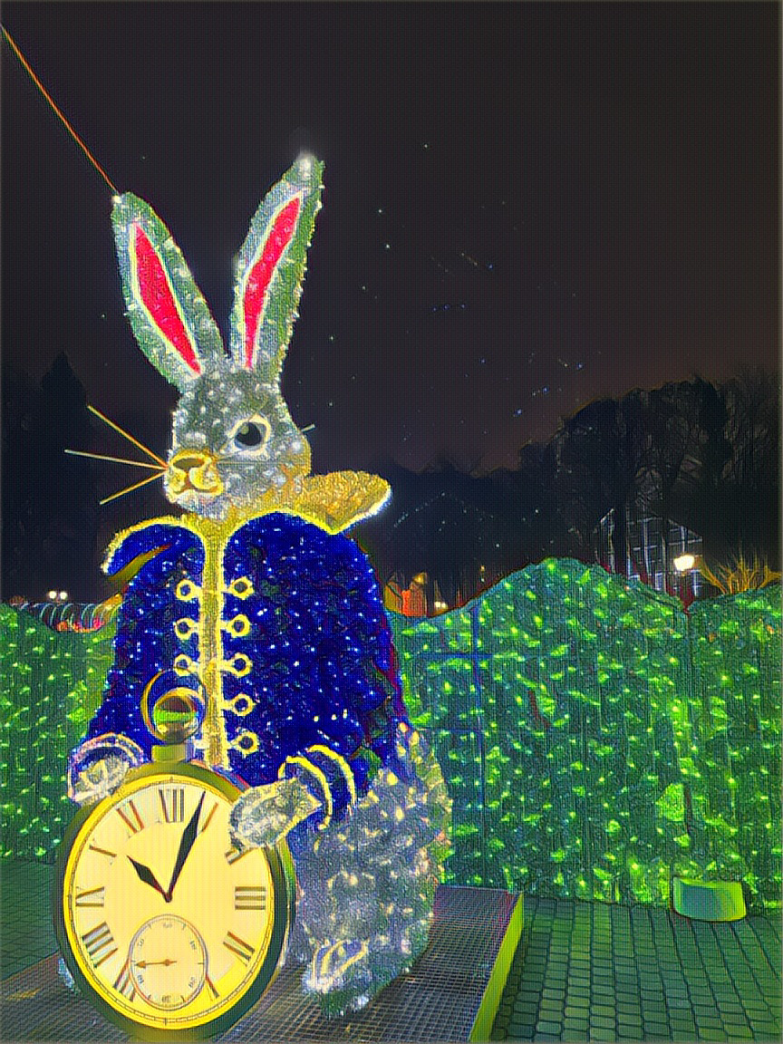 rabbit-photo